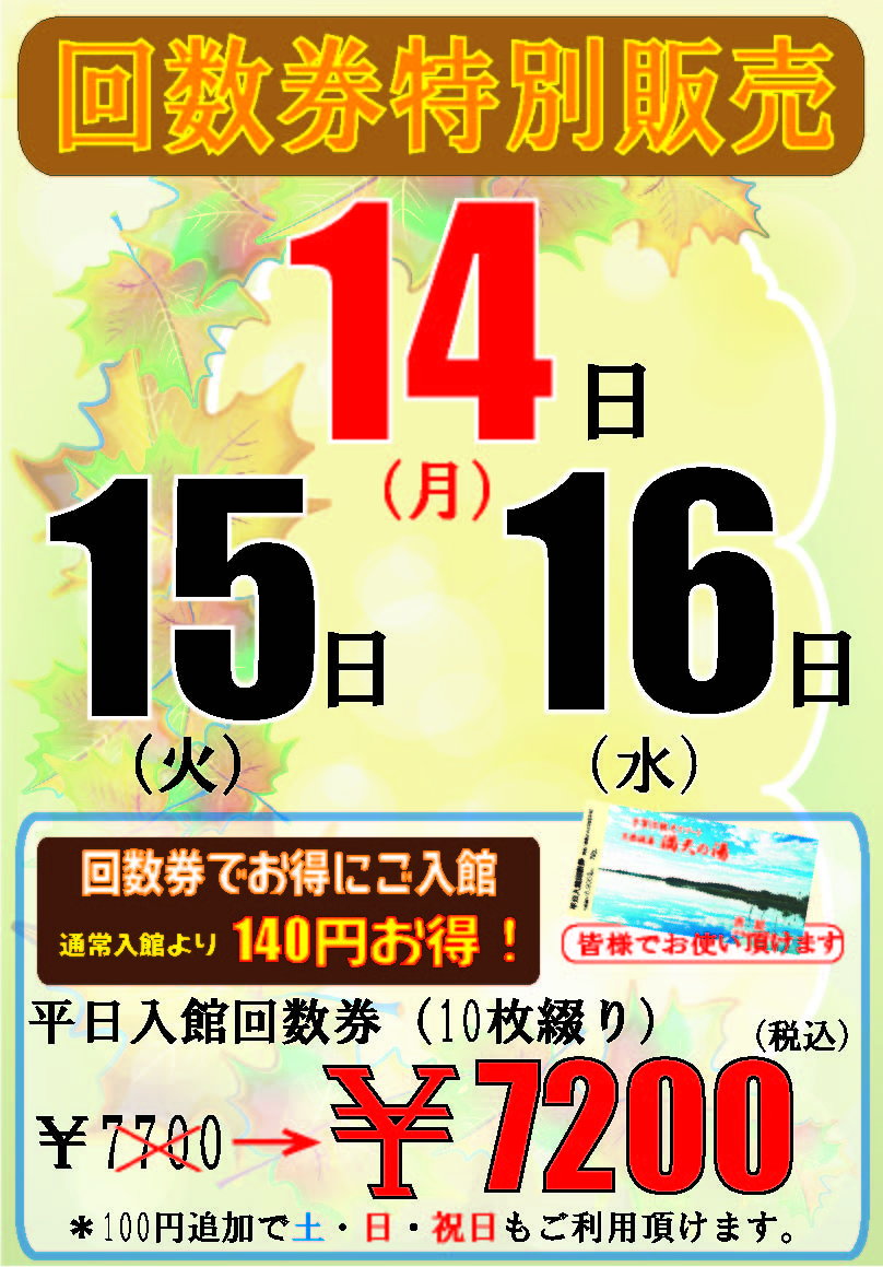 お買い得品 千葉県柏市 満天の湯 岩盤浴回数券